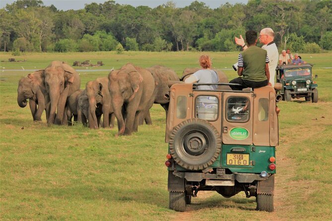 tourist in the jeep are looking at the group of elephant